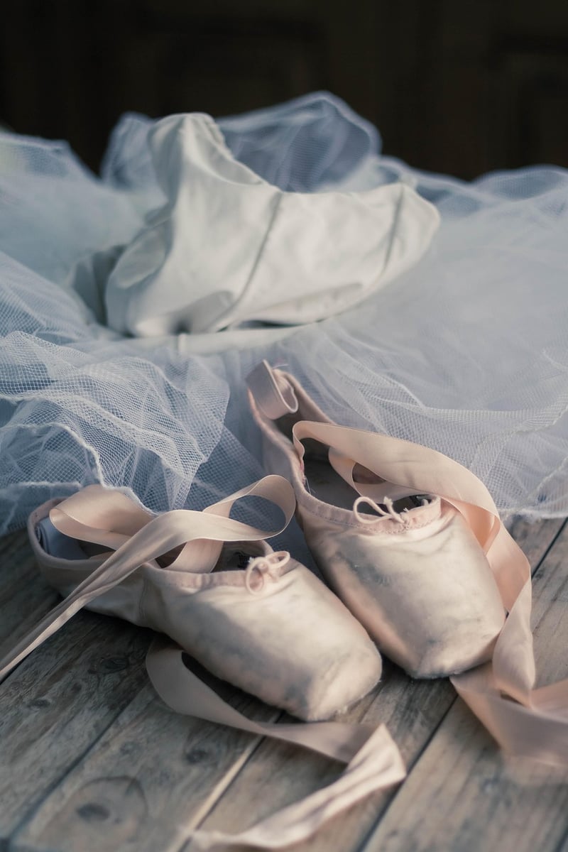 Ballet Barre Exercise